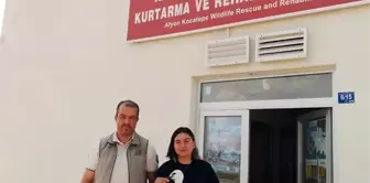 Bitkin halde bulunan leylek yavrusu tedavi altına alındı