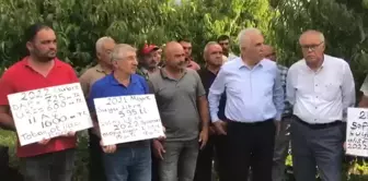 Tokatlı Üreticilerden Meyve Taban Fiyatının Geçen Yıldan Düşük Olmasına Tepki: '2 Lira Fiyat, Köylüyle Dalga Geçmekten Başka Bir Şey Değil'