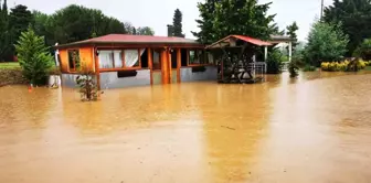 Ordu'da dereler taştı, kümes hayvanları telef oldu