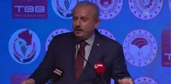 Kırklareli haber: KIRKLARELİ - TBMM Başkanı Şentop, 'Pandemi Sonrası Bölgesel Kalkınma Toplantılarında konuştu