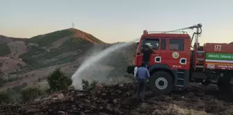 Son dakika haber | Bingöl'de çıkan orman yangınları söndürüldü