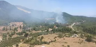 İzmir'de çıkan orman yangını kontrol altına alındı