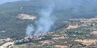 Son dakika haberi! Seferihisar'daki yangınlar kontrol altında