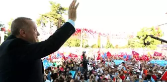 Cumhurbaşkanı Erdoğan, 2022 yılı fındık alım fiyatını açıkladı: 54 lira