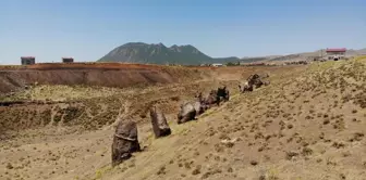 'Nemrut'un Develeri' turizme kazandırılmayı bekliyor