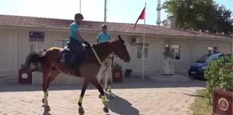 Son dakika haberi: BALIKESİR - Ayvalık'ın orman ve plajları jandarmanın atlı timine emanet