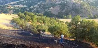 Bingöl haberi! Bingöl'de otluk alanda çıkan yangın büyümeden söndürüldü