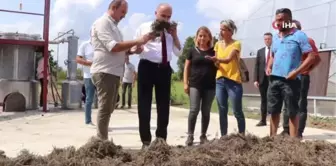 Son dakika haberleri! Tıbbi aromatik bitkiler ekonomiye kazandırılıyor