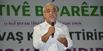 Şırnak haberi: HDP Eş Genel Başkanı Sincar, Silopi'de mitinge katıldı