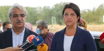 Denizli haberi | Buldan ve Sancar'dan Tek Tweetlik Mesaj: 'Adalet' ve 'Barış'