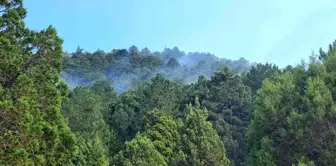 Isparta haberleri... Isparta Senirkent'te çıkan orman yangını kontrol altına alındı