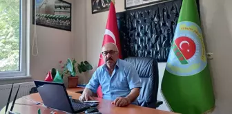 Denizli gündem haberi... Çivril'de badem hasadına başlandı