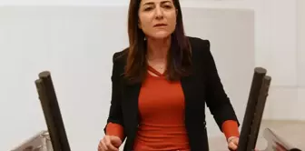 Hdp'li Gülüm'den Bakan Özer'e: 'Sefalet Ücretine Mahkûm Edilen Özel Sektör Öğretmenleri Nasıl Geçinecek'