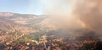 Mersin haberi | Mersin'deki yangın havadan görüntülendi