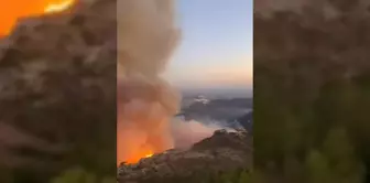 Son dakika haberi... Mersin Antalya Karayolu Yangın Nedeniyle Ulaşıma Kapatıldı