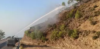 Son dakika haberleri! Mersin'de orman yangını, 2'nci gününde devam ediyor