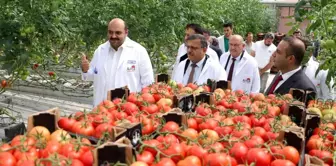 Tarım Kredi kurmayları termal seralara hayran kaldı