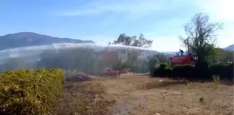 Üzüm bağında çıkan yangın söndürüldü