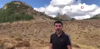 Tunceli yerel haberi... Tunceli'de heyecanlandıran keşif