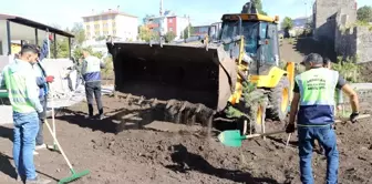 Başkan Demir ve meclis üyeleri kolları sıvadı, peyzaj çalışması yaptı