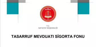 Sayıştay Raporu: TMSF Çalışanları ve Aile Fertlerinin Sağlık Giderleri İçin Mevzuata Aykırı Olarak 18 Milyon TL Ödeme Yapıldı