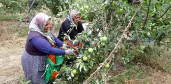 İşsizliği bitiren bu köy, il ve ilçelerden göç alıyor