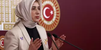 Mahir Ünal'ın yerine AK Parti Grup Başkanvekilliğine getirilen Özlem Zengin'den ilk açıklama: Milletimize hizmet etmeye devam edeceğiz