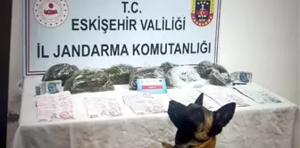 Kaplıcada odadaki esrarı 'Akça' buldu