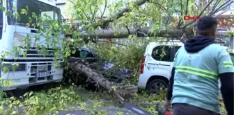 SARIYER'DE KAMYONUN TAKILDIĞI AĞAÇ ARAÇLARIN ÜZERİNE DEVRİLDİ