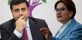 Meral Akşener'in danışmanından şaşırtan açıklama: Demirtaş ve Kavala'nın hapiste olması hukuksuzluk