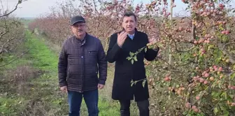 Okan Gaytancıoğlu, Meyve Bahçelerinin Yabancılara Vatandaşlık İçin Satıldığını İleri Sürdü: 'Hile Var, Üç Kağıt Var, Vatandaşlık Bu Şekilde Veriliyor'