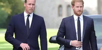 Prens Harry: 'William ona vurmam için beni tahrik etti'