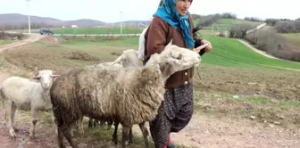 O dağların 60'lık Heidi'si