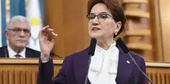 Meral Akşener'den, 'Tehdit ediliyorum' diyen AK Partili Özlem Zengin'e destek: Amasız, fakatsız, omuz omuza duracağız