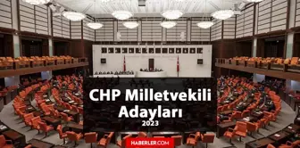 CHP Diyarbakır Milletvekili Adayları kimler? CHP 2023 Milletvekili Diyarbakır Adayları!