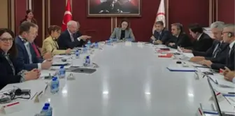 Akpm'den, Seçim Gözlem Heyeti'nin Temasları ile İlgili Açıklama: 'Heyet, Türk Makamlarını; Seçimlerin Özgür, Adil, Şeffaf ve Uluslararası...