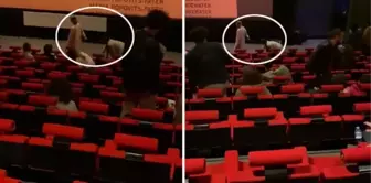 Fanteziniz batsın! Sevgilisinin boynuna tasma takıp sinema salonunda dolaştırdı