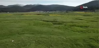 Bolu'nun her mevsim ayrı güzel yaylası: Sarıalan