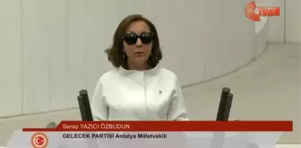 Serap Yazıcı Özbudun yemin etti mi? 28. Dönem milletvekili Serap Yazıcı Özbudun kimdir?