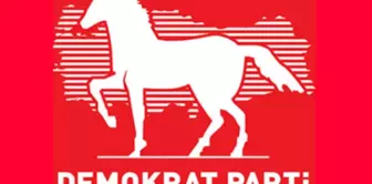 Demokrat parti ilk genel başkanı kimdir? Demokrat partinin ilk genel başkanı kim seçildi?