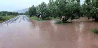 Bursa'nın Orhangazi ilçesinde sel felaketi