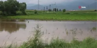 Sandıklı'da sağanak yağış tarım arazilerine zarar verdi