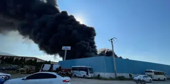 Manisa'da bir fabrikada yangın çıktı