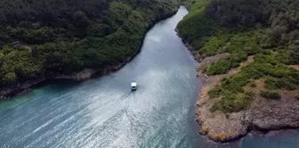 Sinop'un tabiat parkları yaz sezonunda ziyaretçi yoğunluğu bekliyor