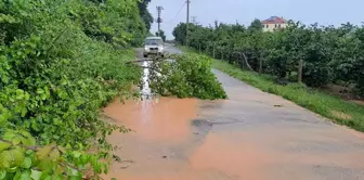 Sakarya'da sağanak nedeniyle evler ve tarım alanları su altında kaldı