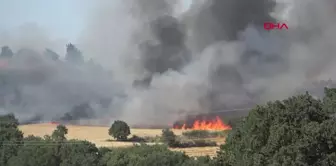 Keşan'da Buğday Ekili Arazide Yangın: 2 Bin Dönüm Alan Zarar Gördü