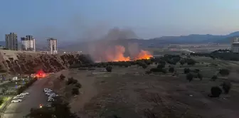 Kahramanmaraş'ta Yangında 7 Dönüm Alan Zarar Gördü