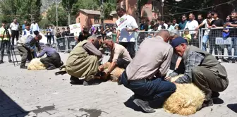 Şırnak'ta Geleneksel Kuzu Kırpma Kültür ve Yayla Festivali Düzenlendi