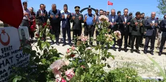 Elazığ ve Siirt'te 15 Temmuz Demokrasi ve Milli Birlik Günü Etkinlikleri