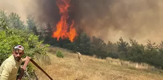 Osmaniye'de Orman Yangınına Havadan ve Karadan Müdahale